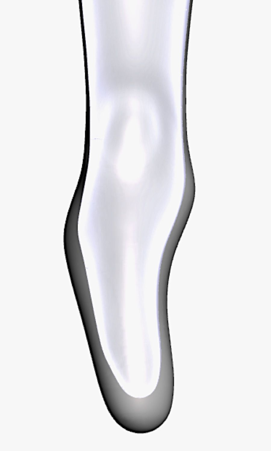 Prominente Kondyle — 3D-Modell