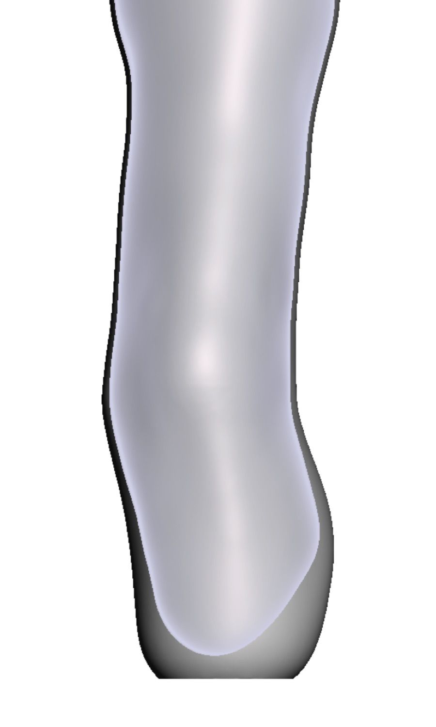 Prominente Fibula — 3D-Modell