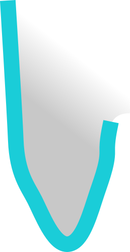 Forma adaptada