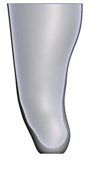 Scars — 3D model