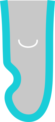 Forma adattata